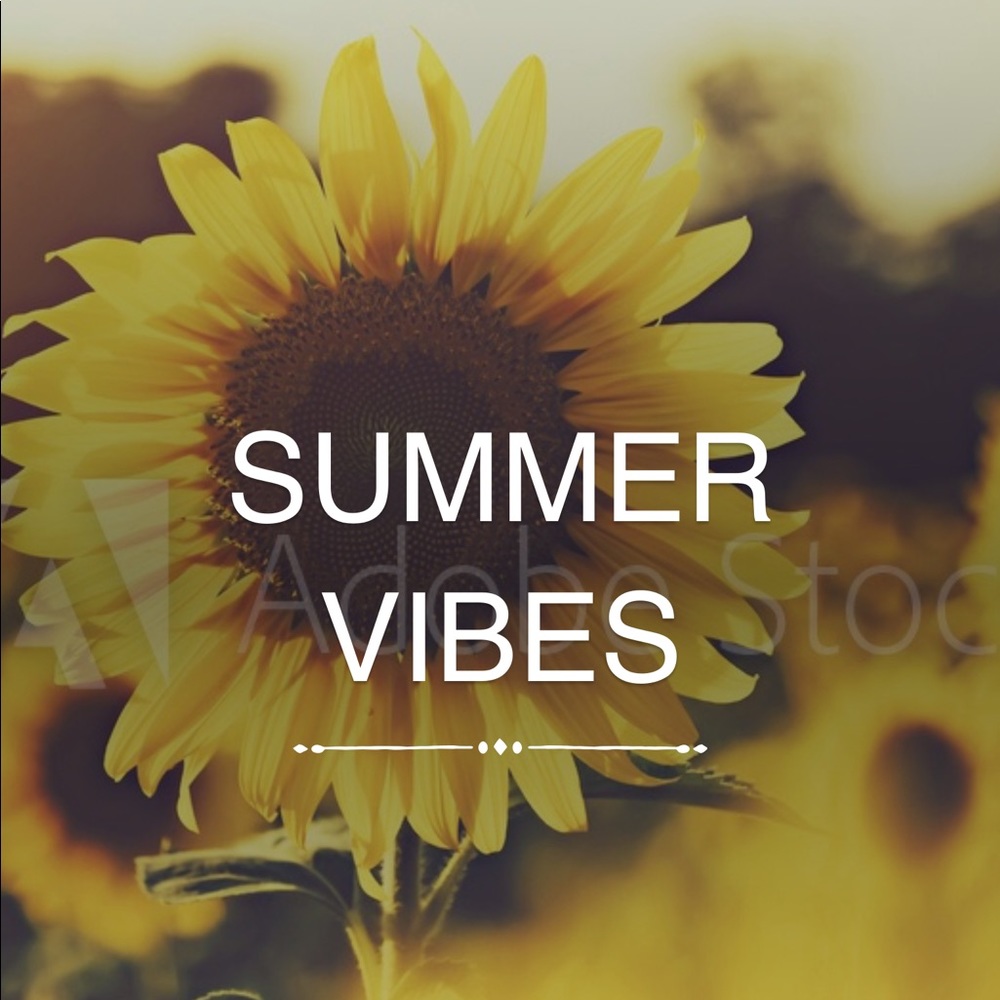 🌞 Summer Vibes